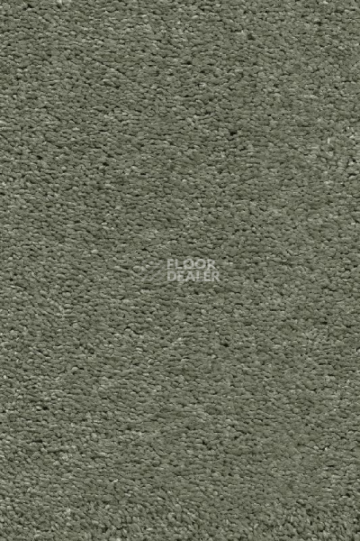 Ковролин AW Invictus Heroicus 20 фото 1 | FLOORDEALER